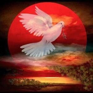 Meet your Posher, Norma